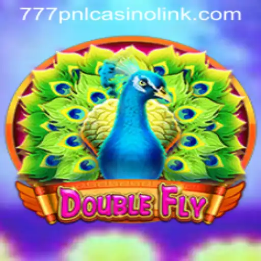 Exploring DoubleFly: The Thrilling Casino Game of the Future